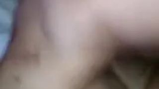 Perfect Couple Vixen….Stag