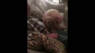 Servicing hubby’s buddies