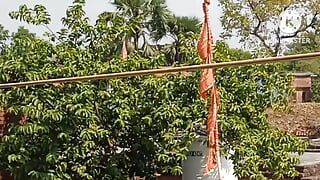 Stepsister at 4:00 am